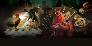 Chuyên Gia Hướng Dẫn Cách Chơi Đá Gà GA28 Tại EV88 Bất Bại