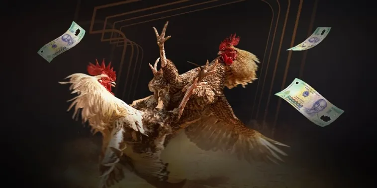 Đá Gà EV88 Đấu Trường Đỉnh Cao Cho Kê Thủ Chuyên Nghiệp